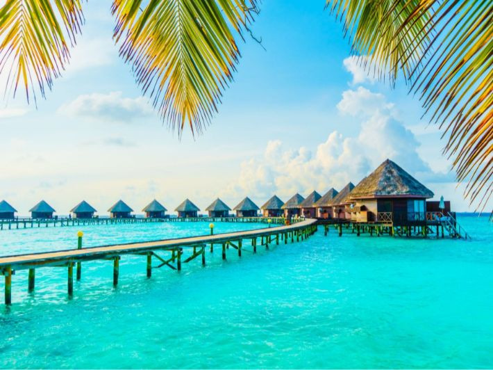 رحلة  المالديف
