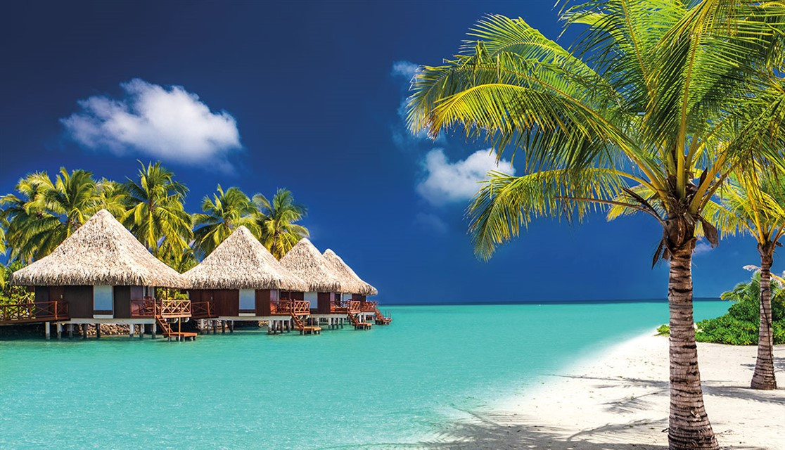 رحلة  المالديف